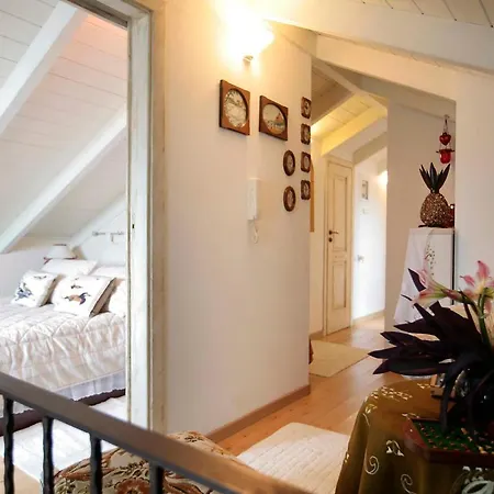 Zafis Apartamento Arachova