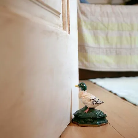 Apartamento Zafis